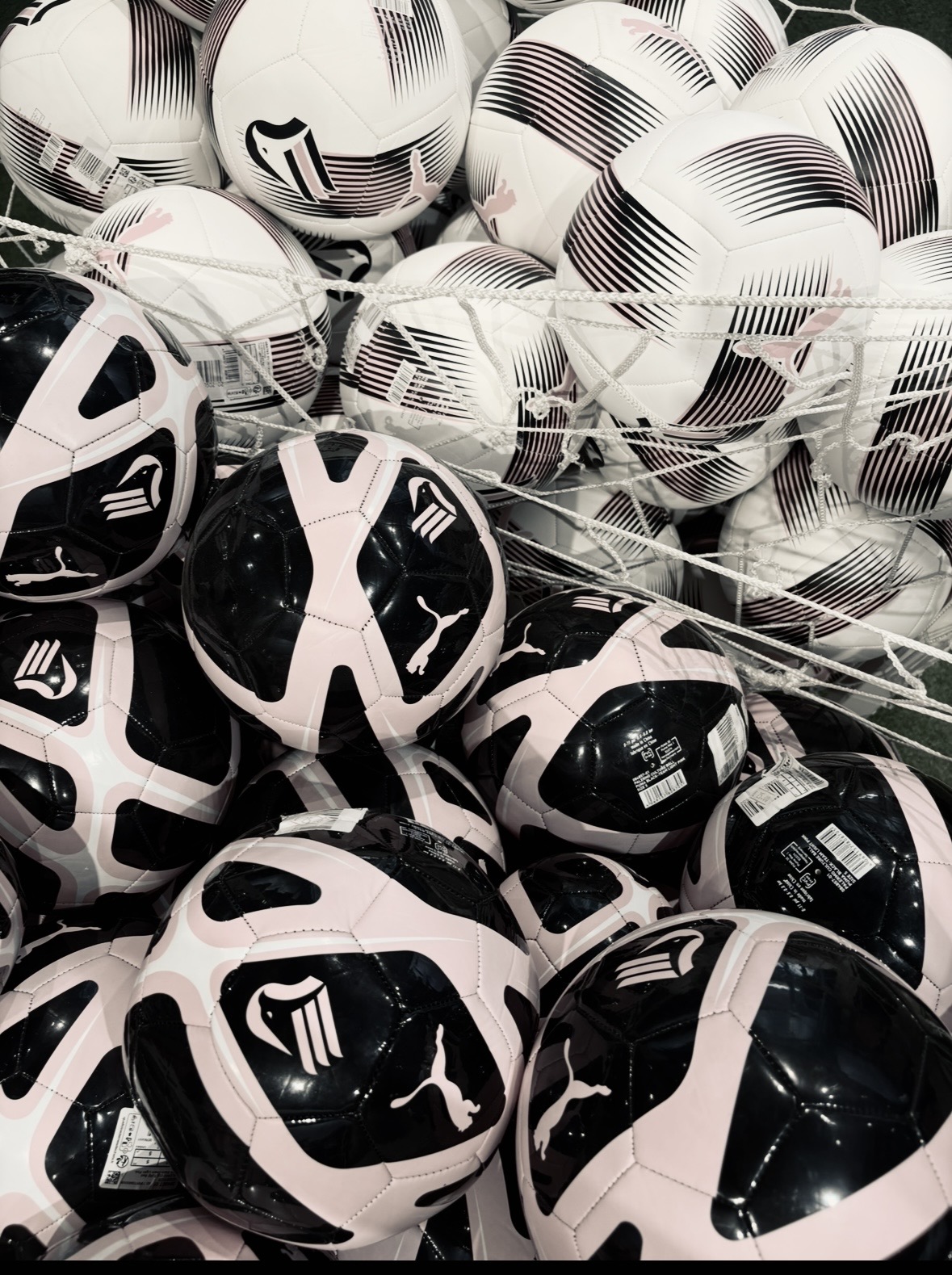 Palermo FC pink and black scarves